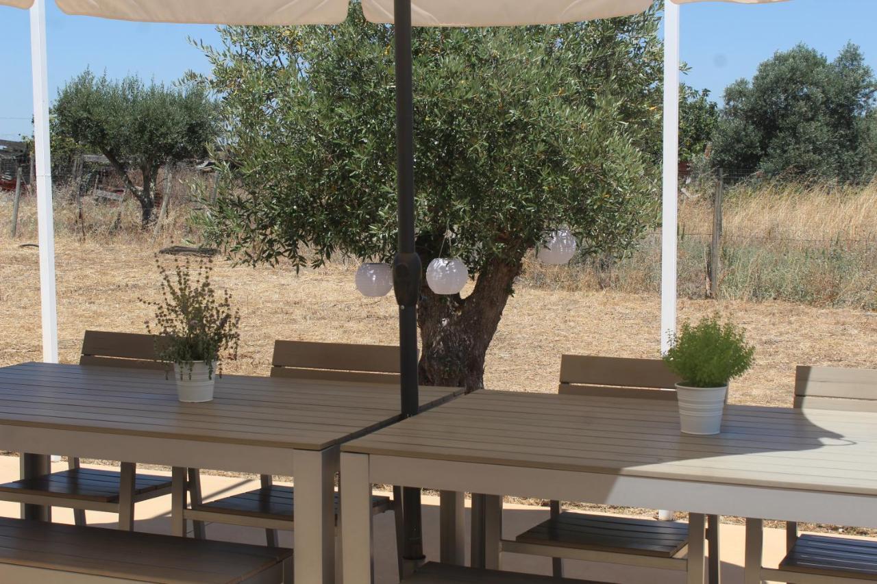 Casa Do Roxo - Eco Design Country House Santa Vitória Eksteriør bilde