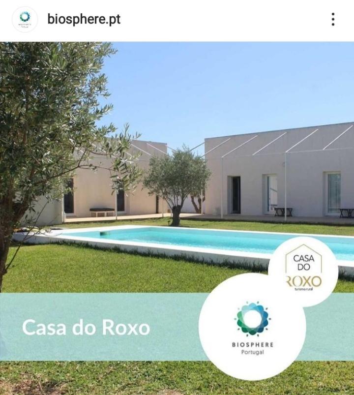 Casa Do Roxo - Eco Design Country House Santa Vitória Eksteriør bilde